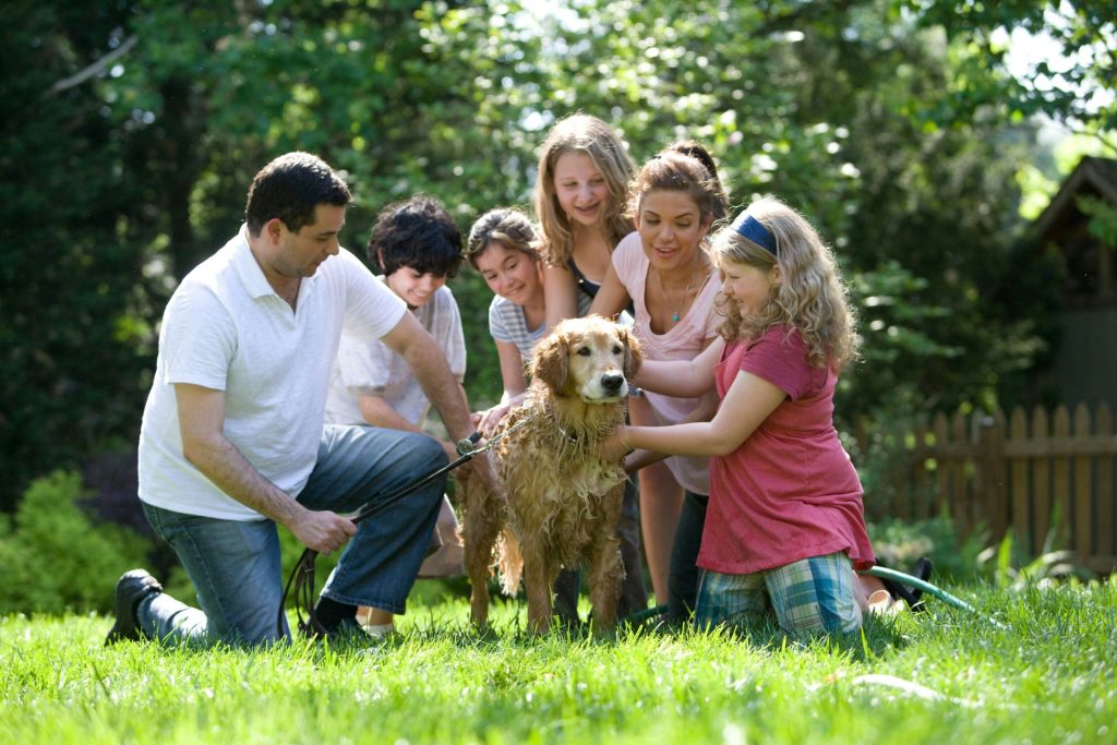A family washing a golden retriever in a sunlit green backyard